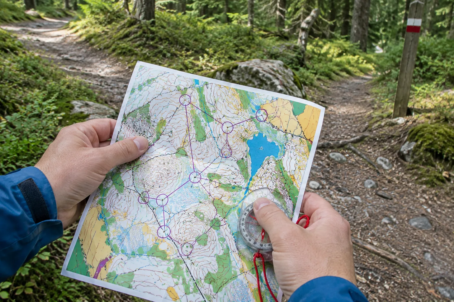 Des mains tiennent une carte d’orientation près d’un croisement de sentiers.